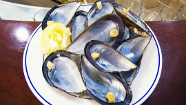 p1100520