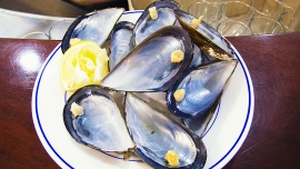 p1100521