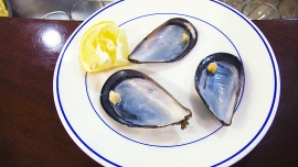 p1100528