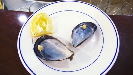 p1100529