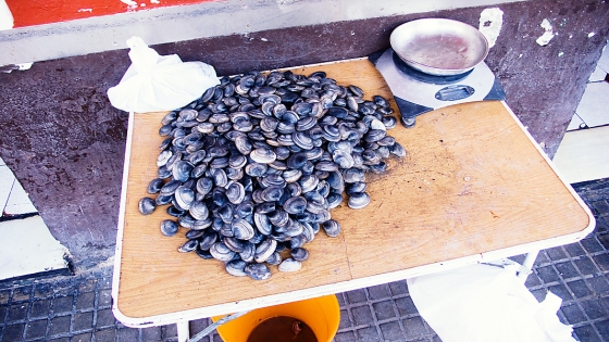 p1100562