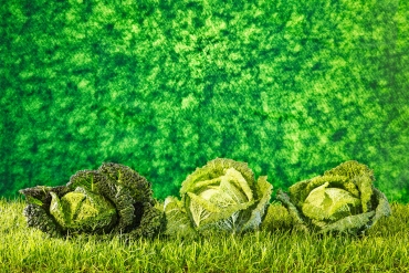 DON´T PLAY WITH FOOD - GREEN # 3 © Hans Keller