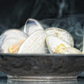 MUSSELS