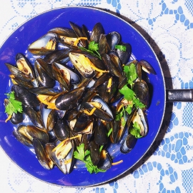 Blue Mussel
