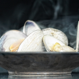 Mussels