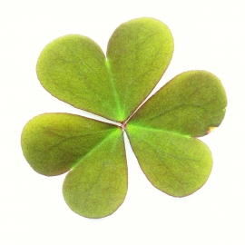 Lucky