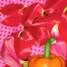 Orange Paprika