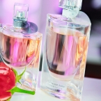 08_Lancome Loves Colors © Hans Keller