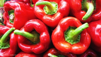 Cantina № 10 – Pimientos con anchoas (Gegrillte Paprika mit Sardellen) © Hans Keller