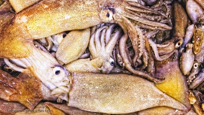 Cantina № 22 – Calamares a la romana (Frittierte Kalmare) © Hans Keller