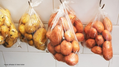 Cantina № 25 – Papas aliñadas (Kartoffeln in Vinaigrette) © Hans Keller