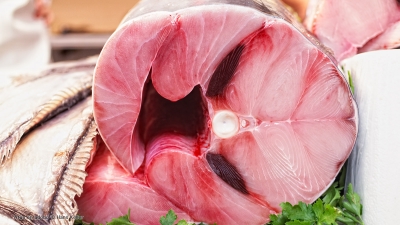 Cantina № 48 | Atún en adobo (Thunfisch in Essigmarinade) © Hans Keller