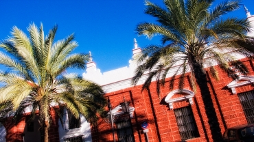 p1120039_blog