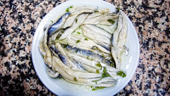 p1120209_blog