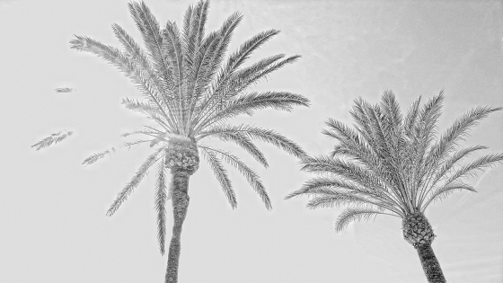 p1120288_blog
