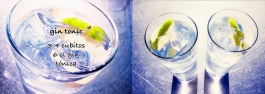 Gin tonic © Hans Keller